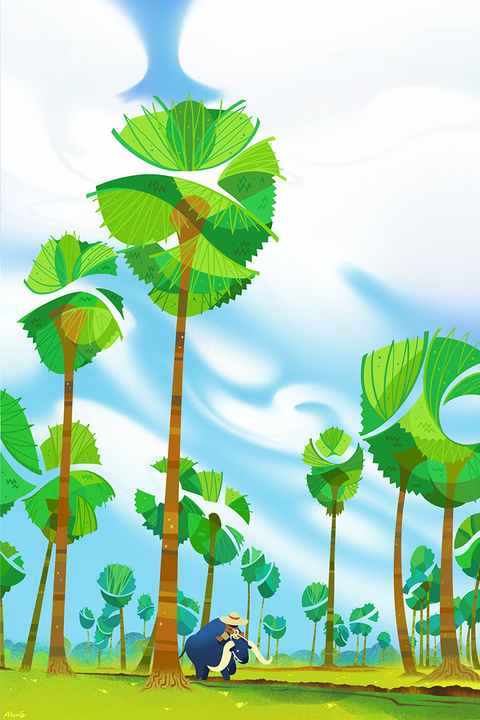 Fields of palms, Phetchburi (2020)